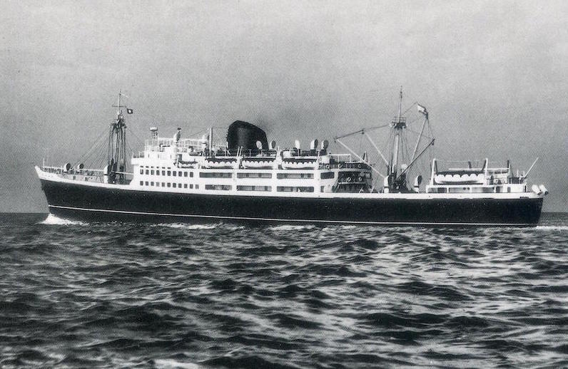 El ”caballo” no me gustó nada