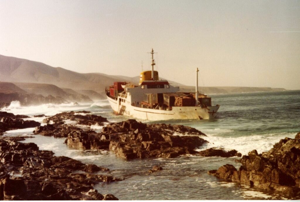 El buque frutero “Miguel M. de Pinillos”, luego “Júcar”