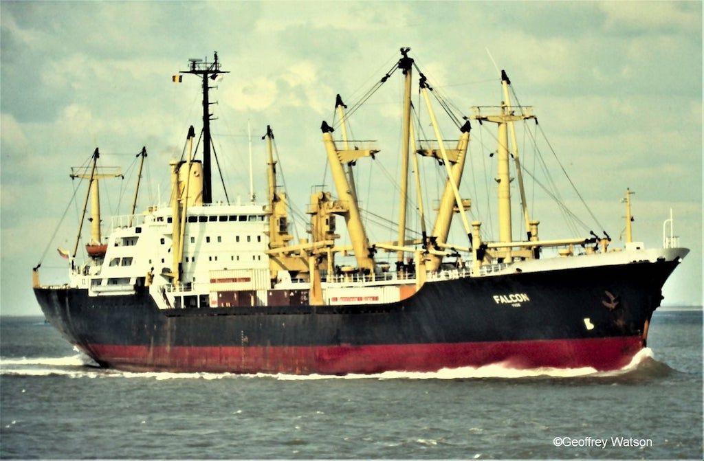 Flota de la CAVN: “Falcón” (1977-1995)