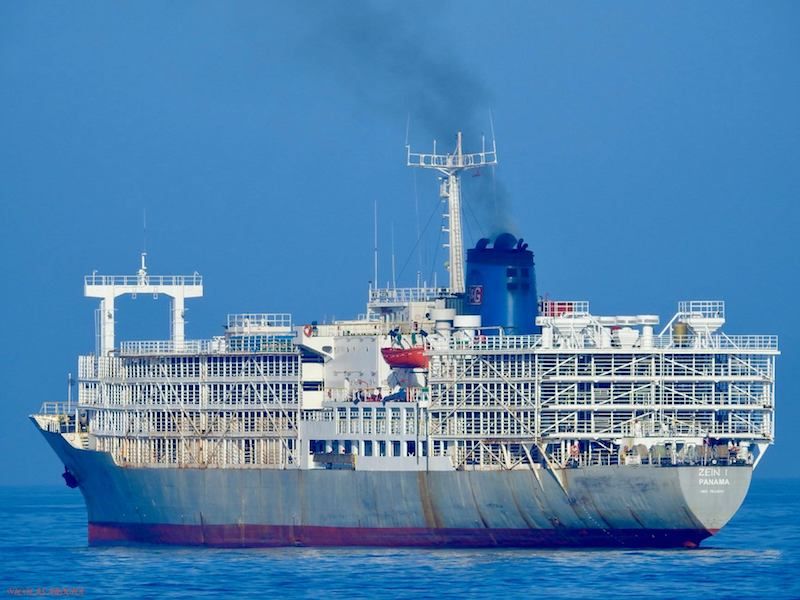 Un frigorífico de Flota Cubana de Pesca transformado en establo