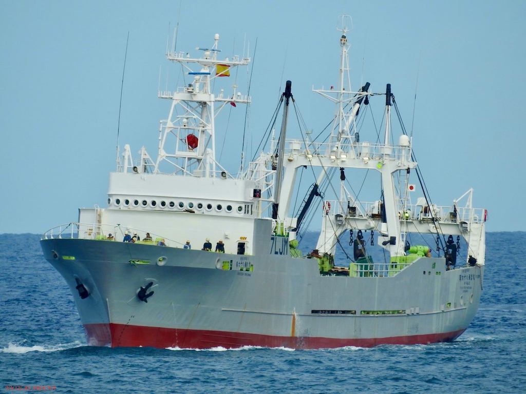 “Fukuyoshi Maru Nº 68”, cliente asiduo del puerto de Las Palmas