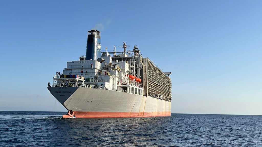 Buscan droga en el buque establo “Mawashi Express”