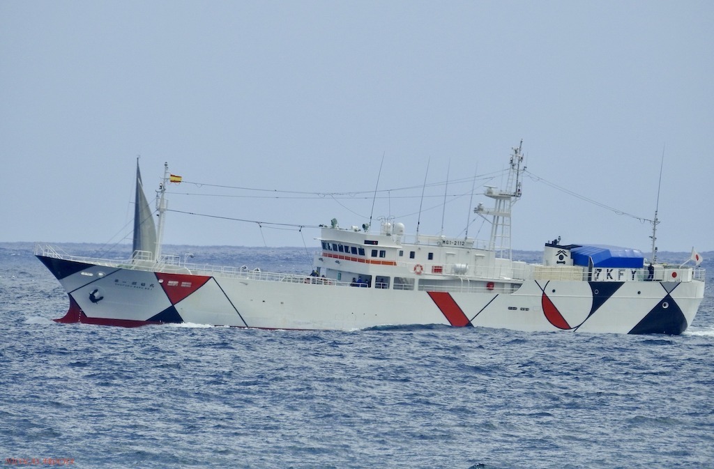 Los colorines del palangrero japonés “Shofuku Maru Nº 1”
