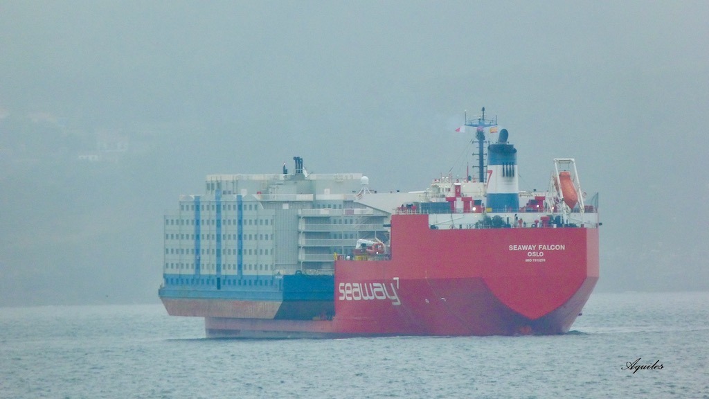 El buque “Seaway Falcon” busca el resguardo de Corcubión