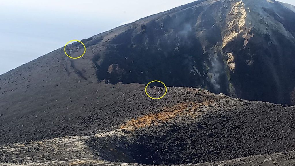 Desafían el peligro y caminan al borde del volcán Tajogaite