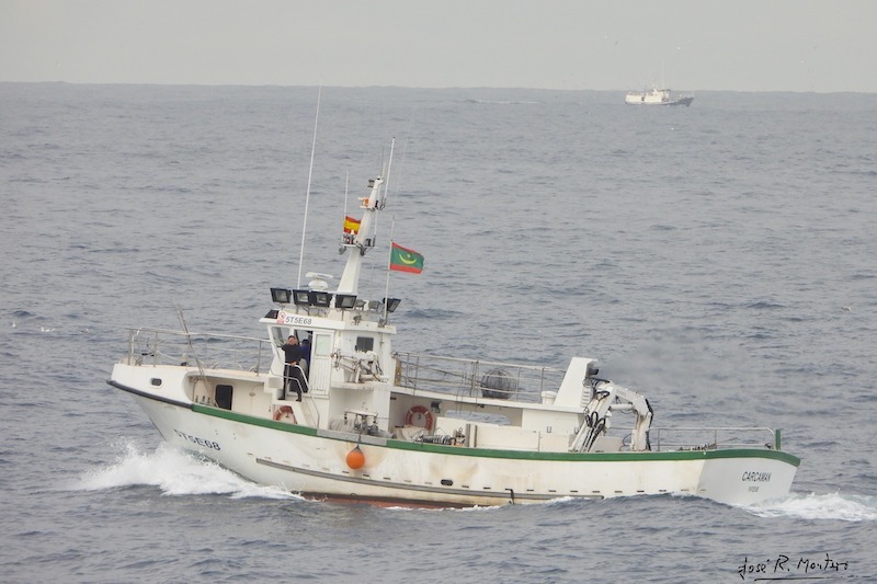 Tres cerqueros de A Coruña, vendidos a Mauritania