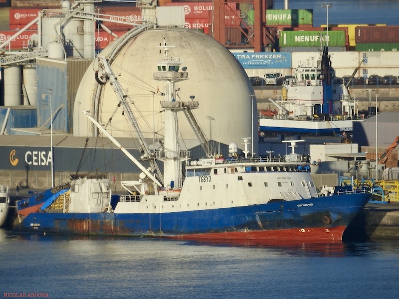 El pabellón de Guatemala, una bandera atípica en Las Palmas