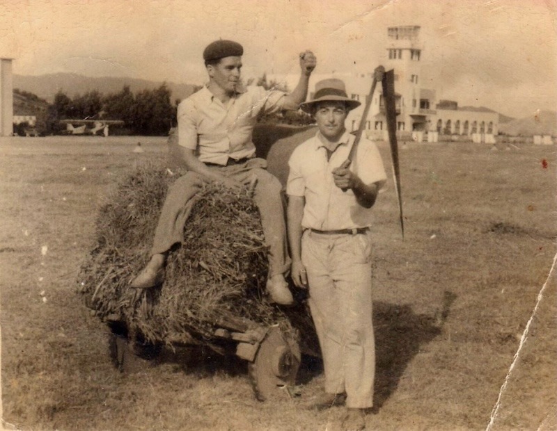 Tras la siega en los campos de Los Rodeos (1950)